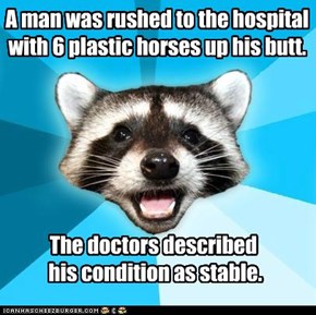Lame Pun Coon