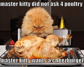 master kitty did not ask 4 poultry  master kitty wants a cheezburger