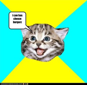 i can has cheeze burgerz