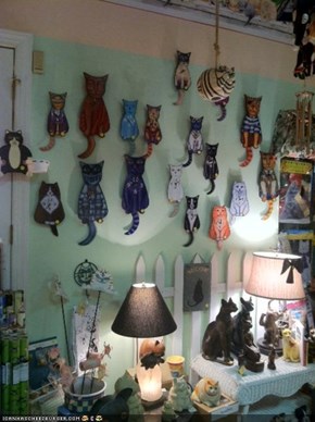 The Craziest Crazy Cat Lady Shop Ever