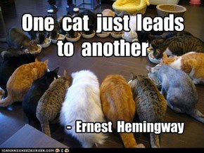 Famous Cat quotes that deserve a capshun!....
