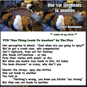 "One Cat Leads To Another" (TTO "One Thing Leads To Another" by The Fixx)
