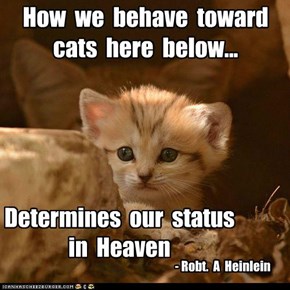 Famous cat quotes that deserve a capshun!....