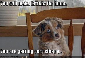 You will make kittehz for dinnz.  You are getting very sleepy...