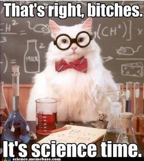 Chemistry Cat: Are You Ready?