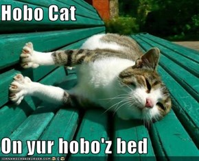Hobo Cat  On yur hobo'z bed