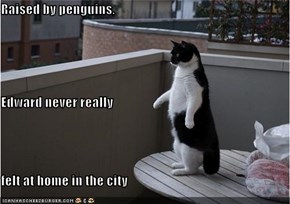 Raised by penguins, Edward never really  felt at home in the city