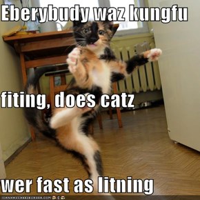Eberybudy waz kungfu fiting, does catz  wer fast as litning
