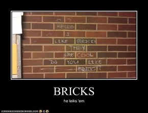 BRICKS