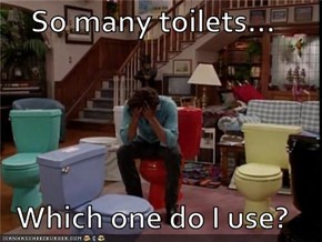 So many toilets...  Which one do I use?