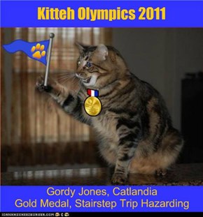 Kitteh Olympics 2011
