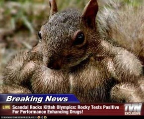 Breaking News - Scandal Rocks Kitteh Olympics: Rocky Tests Positive For Performance Enhancing Drugs!