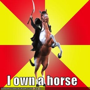 I own a horse