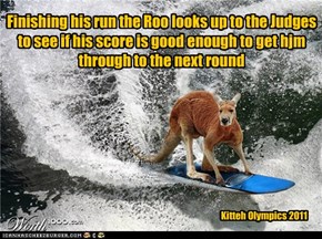 Kitteh Olympics 2011 Surfing