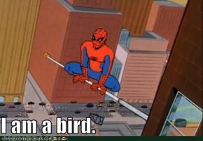 I am a bird.