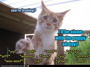 you're leaving?