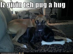 Iz givin teh pug a hug