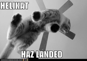 Funny Pictures - Helikat Haz Landed