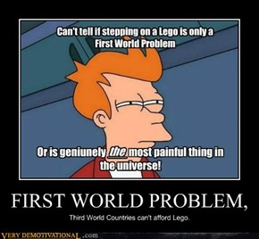 FIRST WORLD PROBLEM,