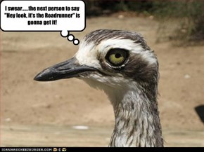 I swear......the next person to say "Hey look, it's the Roadrunner" is gonna get it!