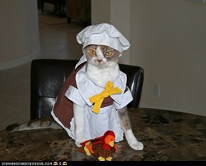 Fanksgibing Kitteh of teh Day: Ai Bettur B Gittin Sum Turkee After Dis...