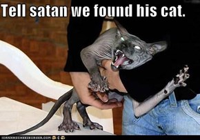 Tell satan we found his cat.