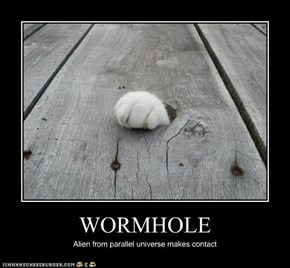 WORMHOLE