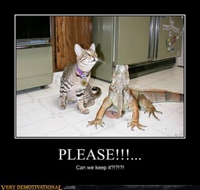 PLEASE!!!...