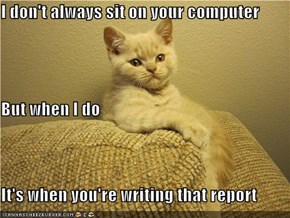 I don't always sit on your computer But when I do It's when you're writing that report
