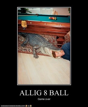 ALLIG 8 BALL