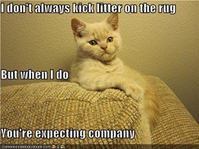 I don't always kick litter on the rug But when I do You're expecting company