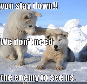 you stay down!!  We don't need  the enemy to see us.
