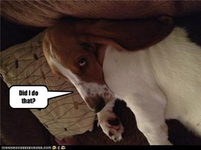 Did I do that?