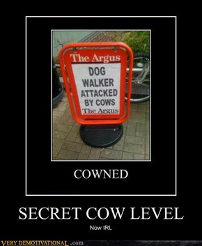 SECRET COW LEVEL