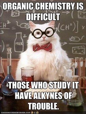 MemeCats: That Must Be Why I FLuNK All My Classes