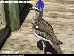 Roadrunner impersonashun....  ....ur doin' it right
