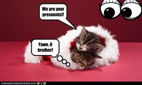 Yawn. O brother!
