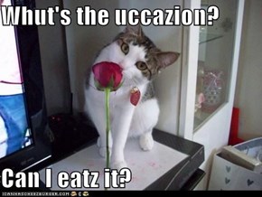 Whut's the uccazion?