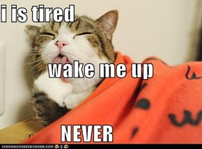 i is tired wake me up NEVER