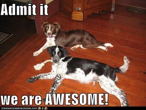 Admit it  we are AWESOME!