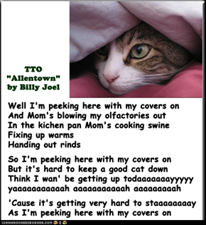 "Peeking Cat" (TTO "Allentown" by Billy Joel)