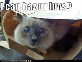 I can haz ur luvs?