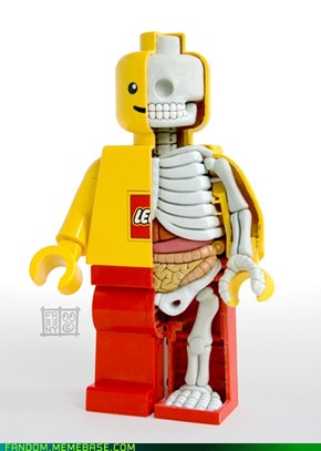 Anatomy of a Lego Man