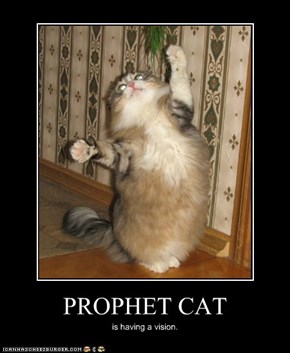 PROPHET CAT