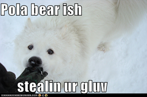Pola bear ish  stealin ur gluv