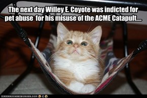 The next day Willey E. Coyote was indicted for pet abuse  for his misuse of the ACME Catapult....
