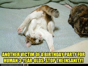 ANOTHER VICTIM OF A BIRTHDAY PARTY FOR HUMAN 3-YEAR-OLDS. STOP THE INSANITY!