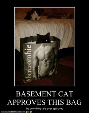 BASEMENT CAT APPROVES THIS BAG
