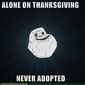 ALONE ON THANKSGIVING  NEVER ADOPTED