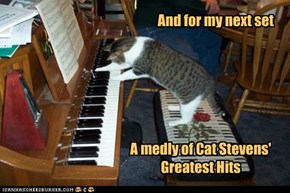 Predictable Choices of Feline Musicians